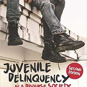Juvenile Delinquency in a Diverse Society 2nd Edition