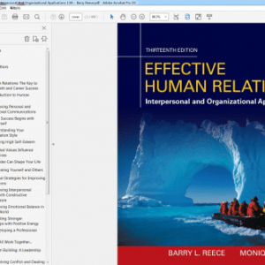 Effective Human Relations Interpersonal And Organizational Applications 13th