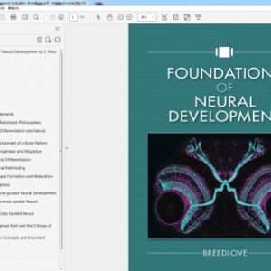 Foundations of Neural Development by S. Marc Breedlove