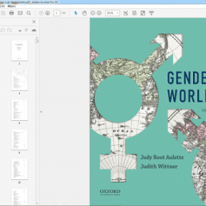 Gendered Worlds 3rd Edition by Judy Root Aulette