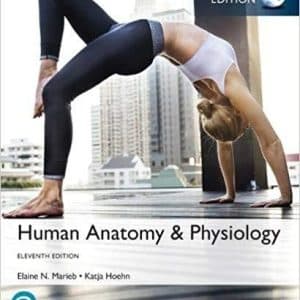 Human Anatomy & Physiology, Global Edition 11th Edition