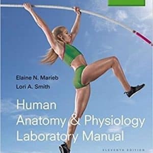 Human Anatomy & Physiology Laboratory Manual, Main Version 11th Edition