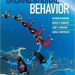Organizational Behavior 1 Editionby Afsaneh Nahavandi
