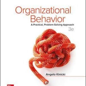 Organizational Behavior: A Practical, Problem-Solving Approach 3rd Edition