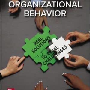 Organizational Behavior: Real Solutions to Real Challenges