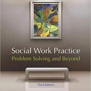 Social Work Practice Problem Solving and Beyond 3rd Edition