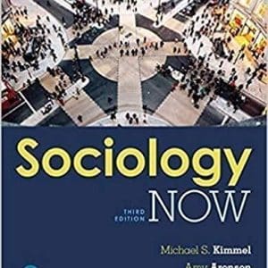 Sociology Now 3rd edition Edition