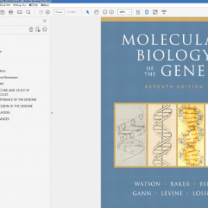 Molecular Biology of the Gene 7th Edition