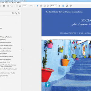 Social Work An Empowering Profession 9th Edition
